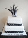 Polka dot feathers (click to enlarge)