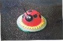 Ladybird (click to enlarge)